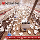  Breeder Chicken Chain Feeding Line Corner Wheel Poultry Feeding System