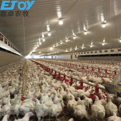 Agricultural Machinery Equipment Chicken Farm Broiler Equipment Floor Raising Broiler Feeding Pan