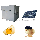  Full Automatic Chicken Incubator Hatching Eggs Solar Powered Chicken Bird Goose Egg Incubator