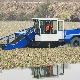 Full Automatic Water Weed Floating Wastes Trash Skimmer Vessel Machine Boat River Aquatic Weed Plant Harvester Machine