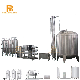 Mineral Water Plant / Drinking Water Production Plant for 2L Bottle Water