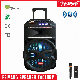 15 Inch Feiyang Tws Parlante Cheap Active DJ Box Rechargeable Bluetooth Speaker Box