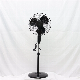  16 Inch PP Material Black Color Round Base Cheapest Stand Fan (FS40-006)