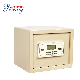  Manufacture 2021 New Mini Portable Two Key Digital Electronic Security Deposit Money Safe Box /