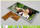 High Quality 5.0 Inch 800X480 Landscape Type IPS Industrial LCD Display Option Touch Screen
