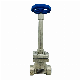 DJ-10d ~50d Feilun Cryogenic SS304 Flange Pressure Regulating Control Long Stem Shaft Low Temperature Stop Globe Blue Handle Valve for Gas LNG, Ln2, Lo2,Lar,CO2