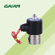 2s Series 2 Way 2 Position Direct Drive Type Stainless Steel Solenoid Valve AC12V 110V 220V manufacturer