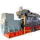  Continous Operation High Efficiency Biogas Natural Gas Power Generator Set for Sale