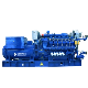 Liyu 1000kw Low Cost High Voltage 10.5kv Natural Gas Engine Generator Set