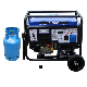 Slong Portable 8kw Dual Fuel Generator Gas LPG Generator