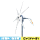 Smaraad High Efficiency 300W 600W 800W 1000W Horizontal Wind Turbine Magnet Small Horizontal Wind Turbine for Home 12V 24V 48V