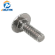  Stainless Steel Carriage Bolt Mushroom Head Square Neck Bolt