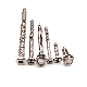  DIN7981 Stainless Steel Self Tapping Screw