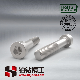  DIN 6912 Hexagon Socket Thin Head Cap Screws with Pilot Recess