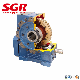 High Efficiency Worm Gear Series Double Enveloping Worm Gear Worm Gearbox