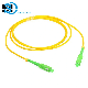  China Factory Simplex Sc / APC to Sc/APC G652D Single Mode Patch Cord Fiber Optic Cable