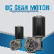  D50 D60 D63 12V 24V Electric DC Worm Gear Motor/Planetary Gear Motor for Lifting System/Wiper Motor/Transmission Devices/Window Opener Motor