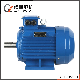 Heavy-Duty Anp GOST-Standard Three Phase Electric IEC Motor for East-Europe Market