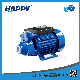 Single Phase 220V Peripheral Electric Water Pump From Happy (PM) manufacturer