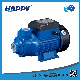 Manufacturer Single-Stage Electric Vortex Water Pump Pkm