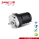  230V DC Motor for Large Torque Electric Slow Press Juicer
