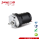 230V DC Motor for Large Torque Electric Slow Press Juicer