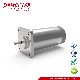  24V DC Motor of Industrial Electric Door