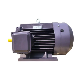 22kw 2p-4p 415V/440V Low Voltage AC Electric Motor Induction Motor for Sale