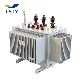 6kv/11kv/33kv/35kv Power/Distribution Transformer with Oil Immersed and Dry Type