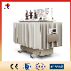  S12 Oil-Immersed Distribution Power Transformer with Customized Service