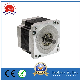 48V Electric Brushless DC Motor BLDC Motor 36vmotor 310V Geared Motor