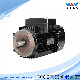  Permanent Magnet Motor Premium-Efficiency Synchronous Motors