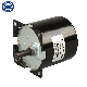 59tyd Low Rpm Electric Synchronous Motor AC 12V 50/60Hz