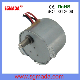  5W AC 24\120\220V Synchronous Motor (49TYD-375-2)