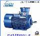 Three Phase AC Explosion-Proof Asynchronous Electric Motor with Ce