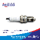 Reeco OE Quality Motorcycle Engine Parts Spark Plug D8ea for Honda/YAMAHA/Suzuki/Bajaj/Tvs