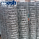 Hot Sale Welded Wire Mesh for Sale