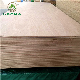 18mm E1 Furniture Board Customed Poplar Birch Pine Dark Oak Plywood Timber Melamine Laminated Plywood