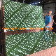 18mm Plastic PP Film Faced Plywood PVC Board Building Materials Combi Plywood