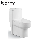  Bathroom Ceramics Sanitary Wares Dual Flushing System with Toilet Seat Water Closet Muslim Fashion Toilet (PL-3812)