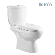 Chaozhou Sanitary Ware Bathroom Ceramic Two Piece Wc Toilet with P-Trap (JY2101)