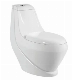 Africa Market Golden Dragon Wash-Down One Piece Bathroom Toilet for Sale P-Strap Sanitary Ware