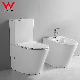 Two Piece Sanitary Ware Back to Wall Floor Mounted Bidet Complete Toilet