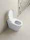 Smart Toilet Toilet Bowl Siphonic Flush Luxury Sanitary Ware