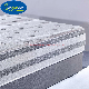 Made in China Eurotop Queen Latex Foam Bonnel Spring Bed Mattress for Hotel Bed