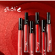  OEM New Waterproof Matte Lip Gloss Lipstick for Beauty Care Cosmetic