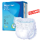 Free Sample Customization OEM&ODM Free Sample Wholesale Disposable Pants Nappy Pull up Adult Diaper manufacturer