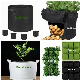  9 18 25 36 49 64 Pocket 2 3 5 7 10 20 30 Gallon Geotextile Fabric Felt Garden Vertical Hanging Root Nursery Plant Seedling Potato Vegetable Grow Planter Geo Bag