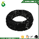  China Kit Watering Agriculture Irrigation Spray Hose
