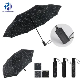  3 Fold Auto Open Rain Umbrella with Star Printing Suit for Adult